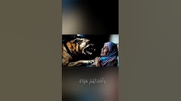 #أرح_سمعك_وقلبك #اكسبلور #قرآن #دويتو #آيات #لايك #القرآن_الكريم #راحة_نفسية #مصر #ياسر_الدوسري