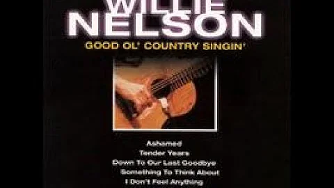 Something To Think About~Willie Nelson