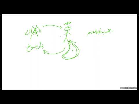 مصر في عصر الطولونيين والاخشيديين ج1 