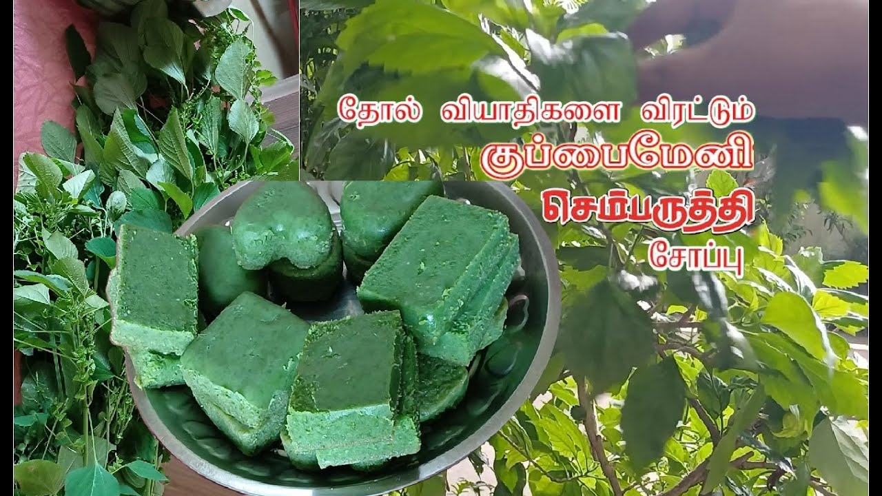 குப்பைமேனி செம்பருத்தி இலை சோப்பு வீட்டிலேயே ஈசியா செய்ங்க! l Home Made Soap in Tamil