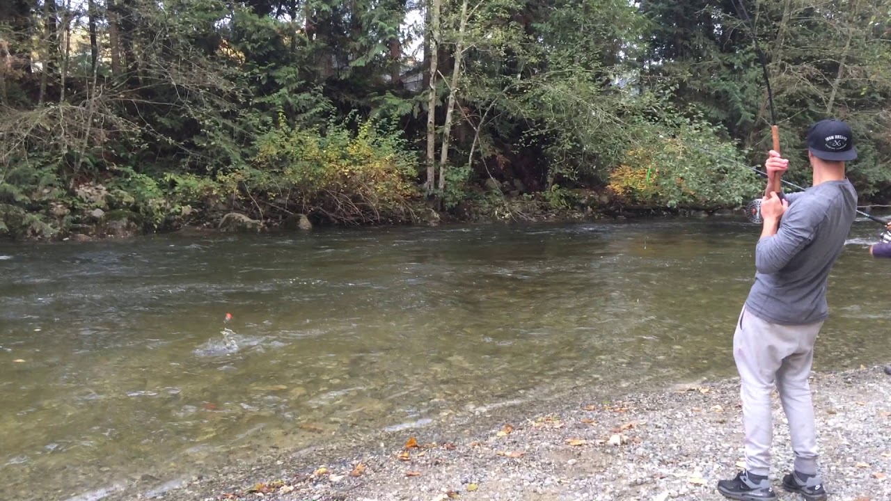 Coquitlam River Salmon fishing Oct 2016