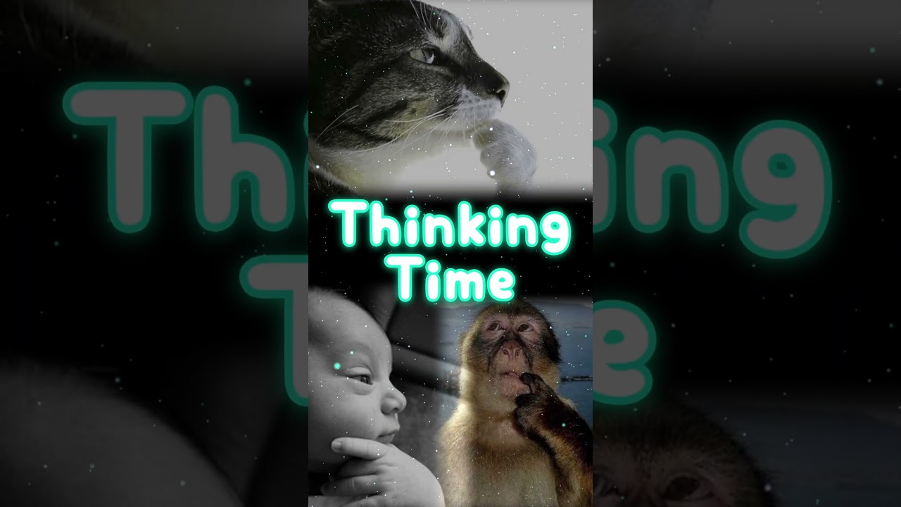 Как играть в Vendetta: Sundering Blade 