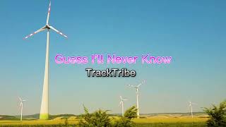 Guess Ill Never Know  Tracktribe