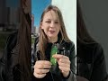 Это действительно вкусно ❤️ #successtogether