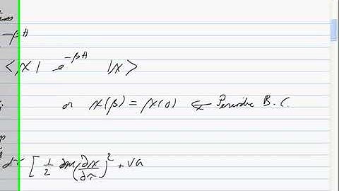 Quantum Field Theory 1-29-Path Integrals 5