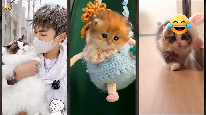 Video 11907711: funny russian cats, russian dog, cat sounds funny dog, funniest cats, funnycats