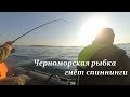 Черноморская рыбка ГНЁТ спиннинги / Black sea fish BENDS spinning