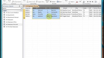 Splitting a table into two tables -- Activity 4.05