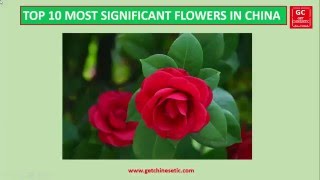 Top 10 most popular flowers significant to the Chinese culture