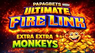 Ultimate Fire Link and Monkeys!! I @hardrocktampa