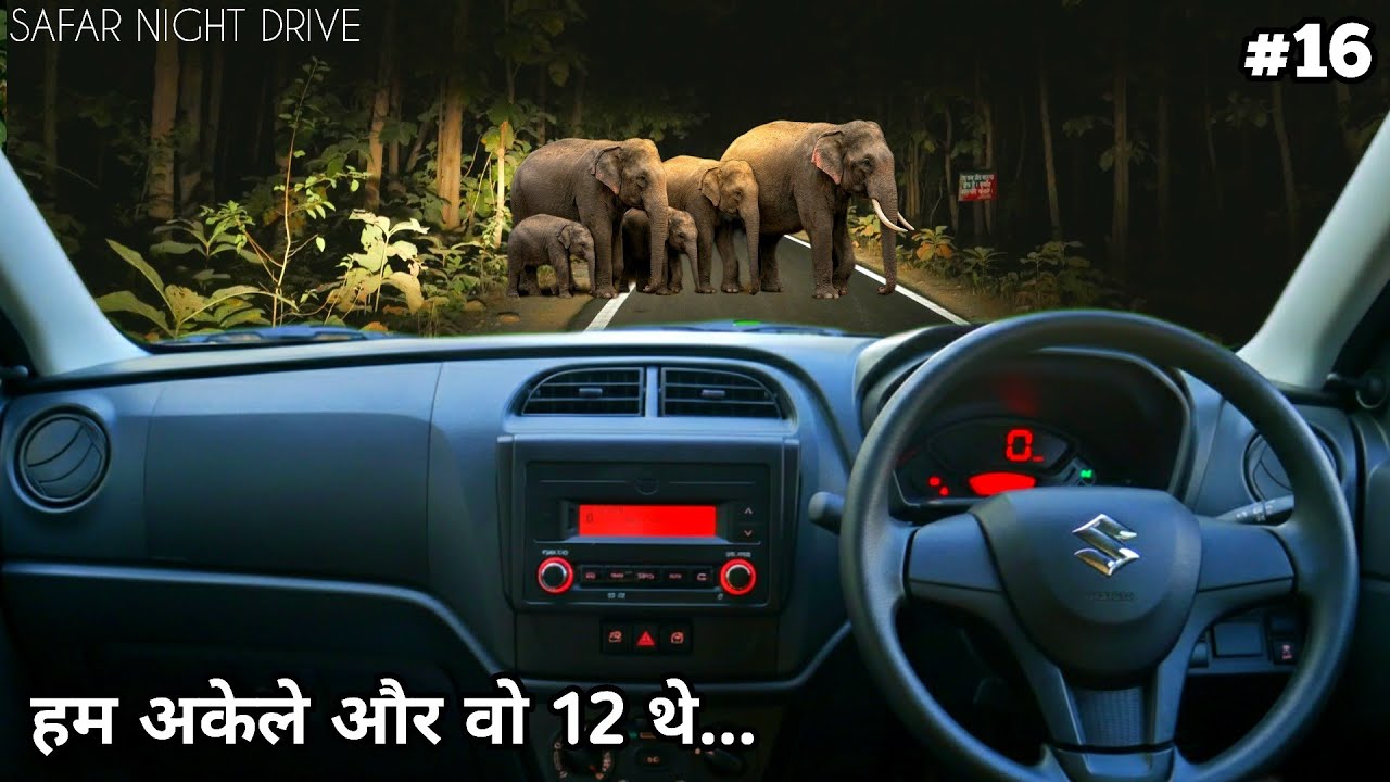 Safar Night drive | My First Encounter With Elephant At Night Drive | 4k video in hindi