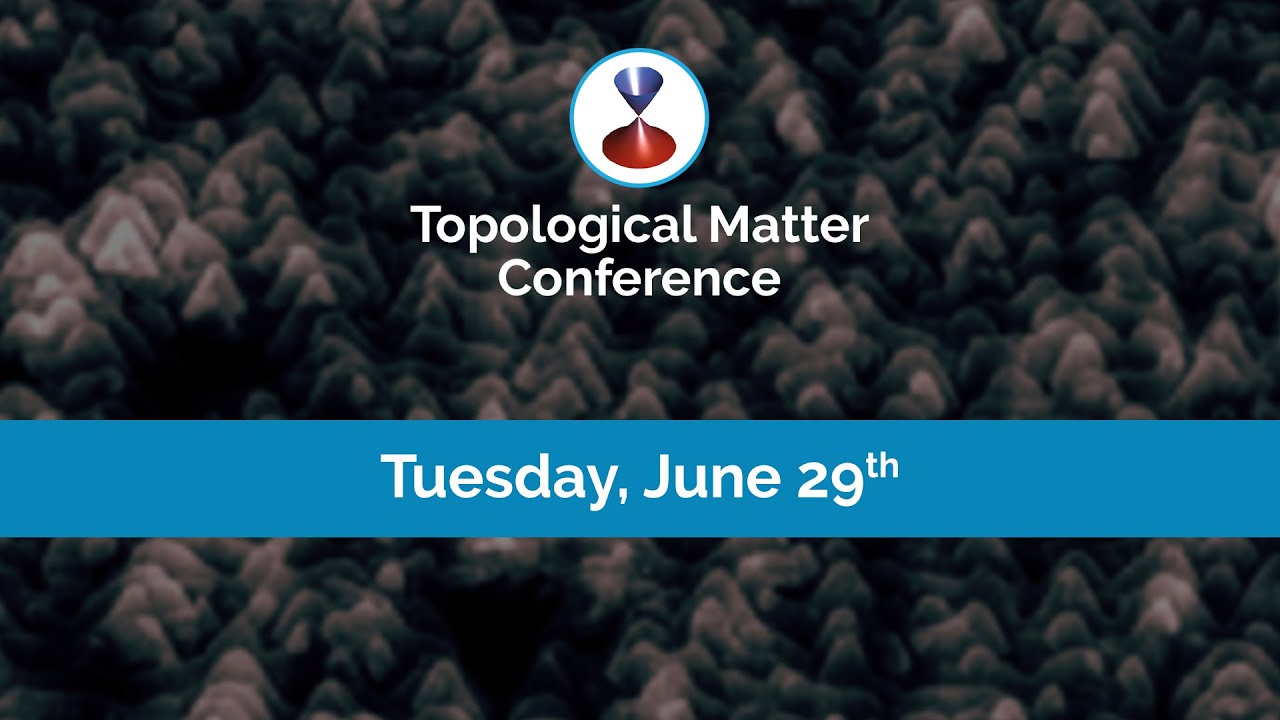 TMC21: Atomic-scale spin textures in model-type systems studied with spin-polarized STM