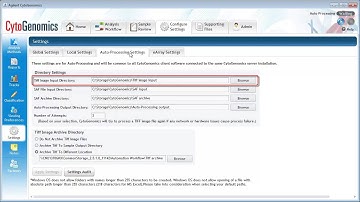 CytoGenomics: Running workflows using auto-processing