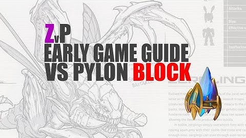 SC2 Zerg Tutorial: Early Game Guide vs Pylon-Block | ZvP