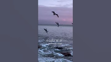 سورة الجاثية الآيات {٢٣-٢٤} #المصحف #quran #اكسبلور #دويتو #islamicfestival #حالات_واتس #islamicfest