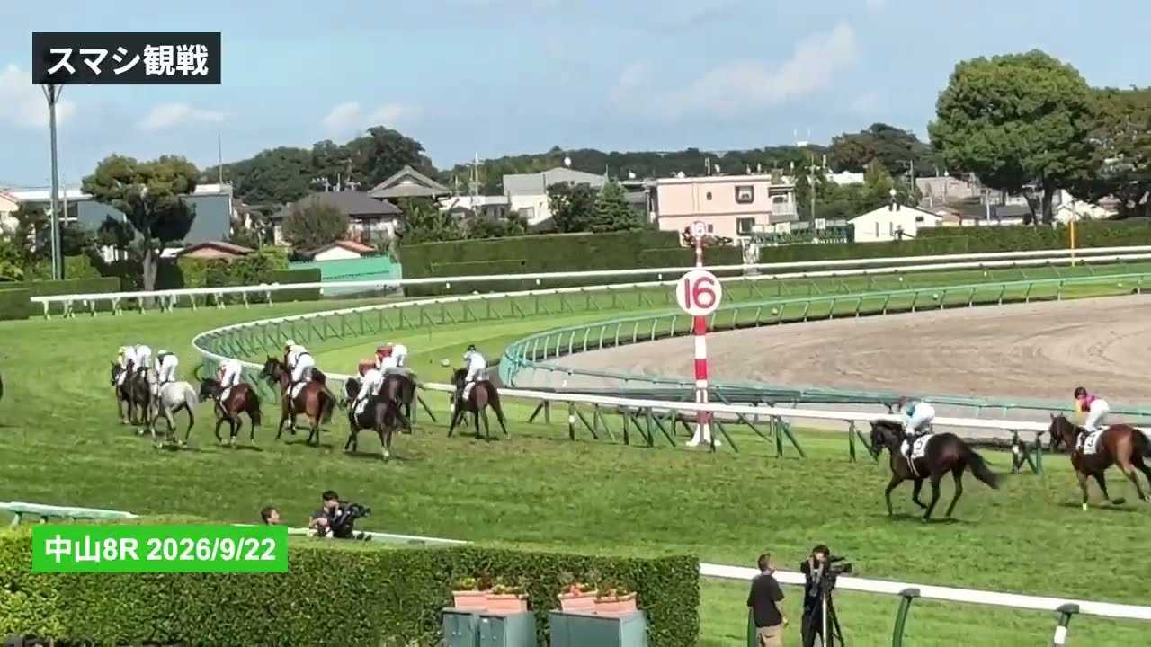 中山 8 レース