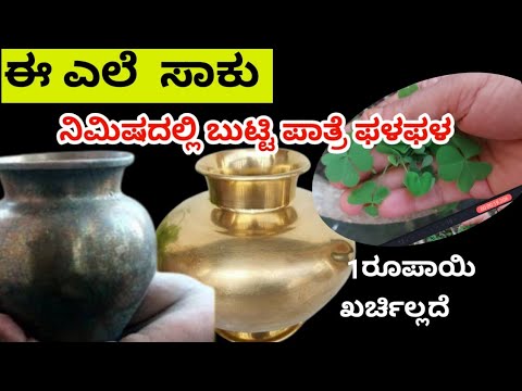 ಉಜ್ಜೋದು ತಿಕ್ಕೊದು ಬೇಡ ಈ ಎಲೆ 🌿 ಸಾಕು👌ತಾಮ್ರ ಹಿತ್ತಾಳೆ ಬೆಳ್ಳಿ ಪಾತ್ರೆ ಫಳಫಳ ಹೊಳೆಯುತ್ತೆ 2 ತಿಂಗಳಾದರೂ ಕಪ್ಪಾಗಲ್ಲ