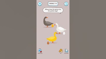 Brain Riddle: Tricky Puzzles Gameplay Walkthrough (Android & iOS) #shorts #FIESTATheLoser