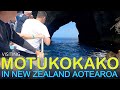 A Trip to The Famous Hole in The Rock on Motukokako / Piercy Island in New Zealand