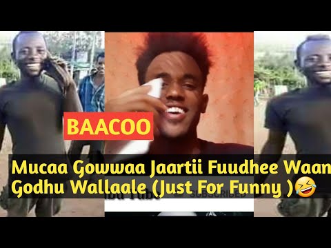 BAACOO Mucaa Gowwaa Jaartii Fuudhee Waan Godhu Wallaale Just For Funny