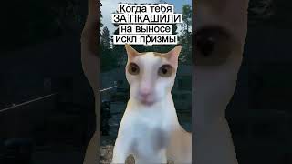 Когда тебя запкашили на выносе искл призмы STALCRAFT X #stalcraftx #stalcraft #memes