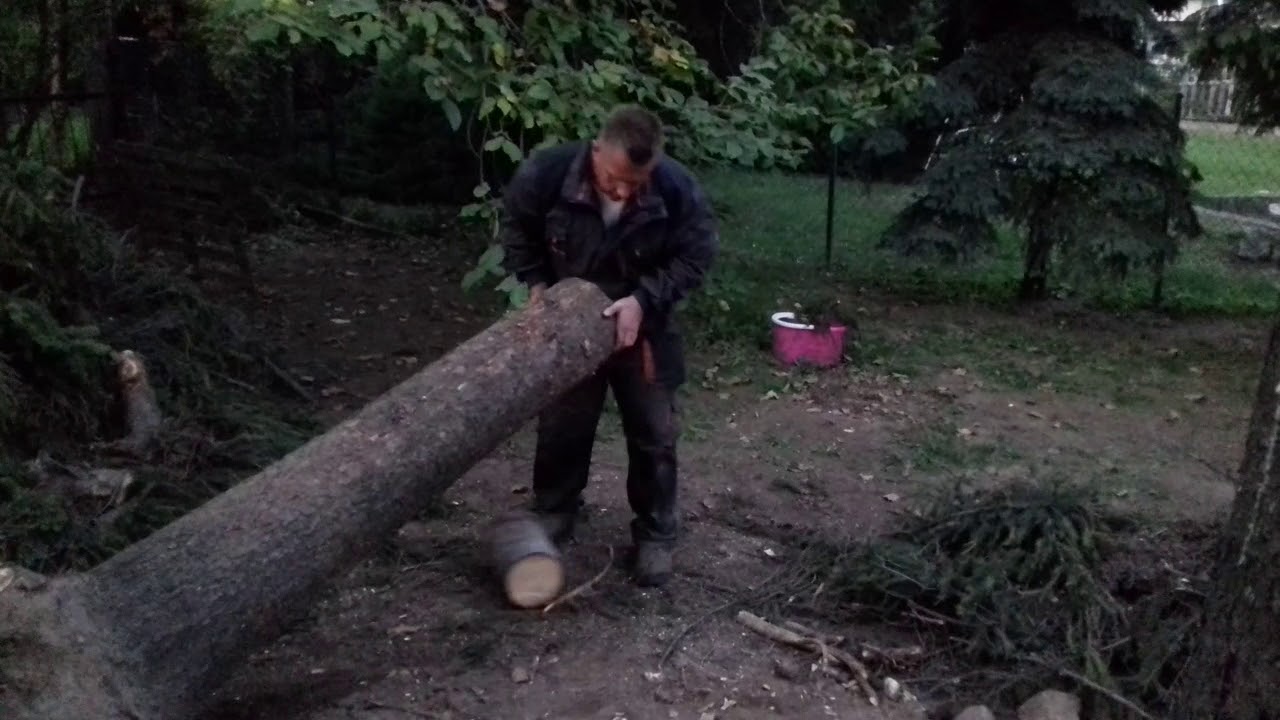 Dolmar 7310 / KertŐr