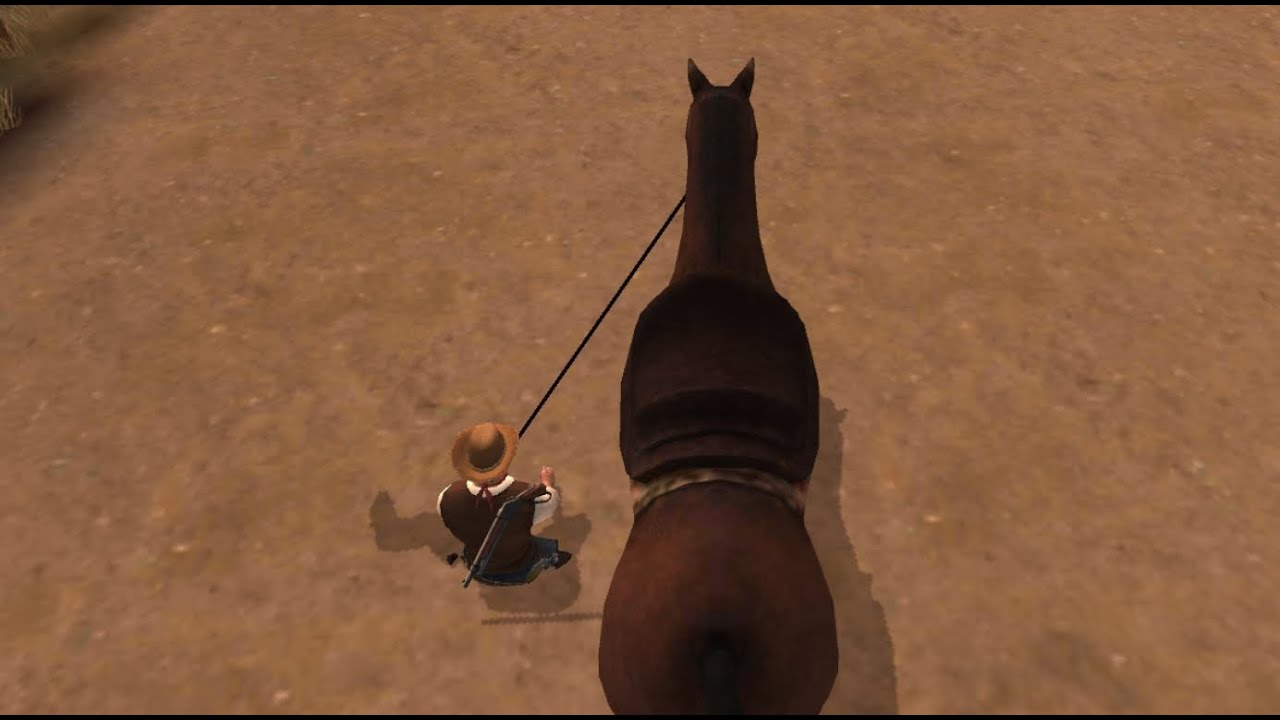 West Gunfighter Glitch /GLITCHE. GAME