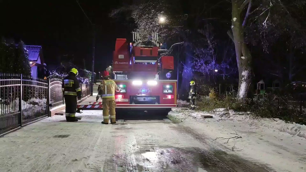 Usuwanie konaru drzewa przez Straż Pożarną. Kicin - Gmina Czerwonak