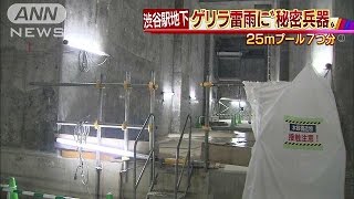 渋谷駅地下に“巨大空間”　ゲリラ雷雨で威力発揮(16/06/16)