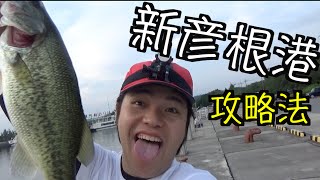 バスが釣れない時は誰にでもある！新彦根港はこう攻めろ！