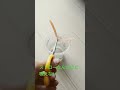 吸えないストロー