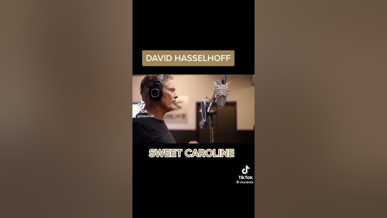 David Haoselhoff Sweet Caroline 🎶