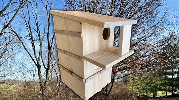 A Squirrel Nesting Box