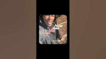 How Does The Brain Remember That I Forgot But Not What I Forgot #hopelesscore #hopecore #funny