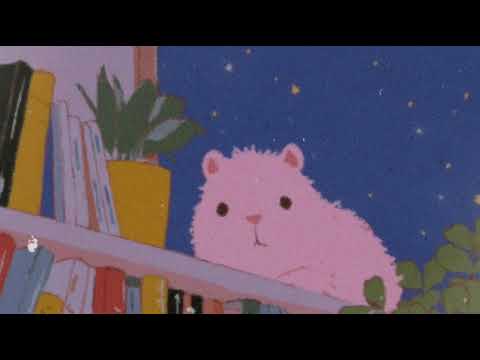 library night study with capybara 📚🌙 ambient lofi