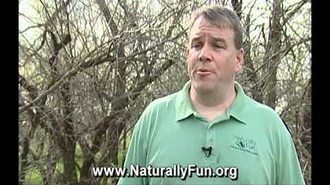 Geocaching & Cache In Trash Out Event