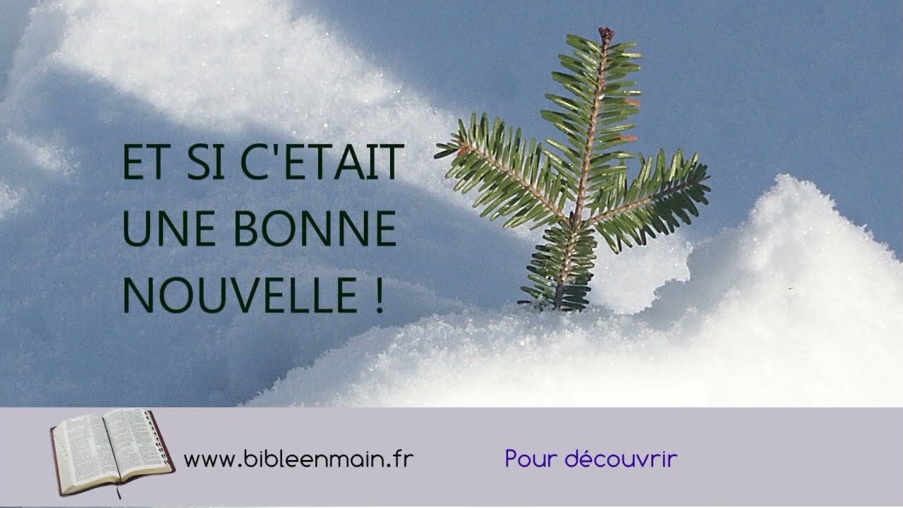 LE LIVRE PLEIN DE POUSSIERE