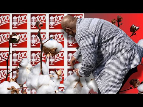 #Wack100 Is Purchasing City & Picks Cotton in #JonesTown Mississippi