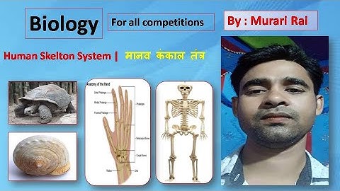 Human Skeleton System | मानव कंकाल तंत्र | Axial and Appendicular Skelton Bones