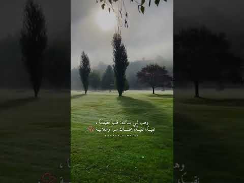 آيات التوحيد والتوكل على الله رعد محمد الكردي حالات واتس اب دينية قصيرة مؤثرة قرآن كريم تلاوة خاشعة