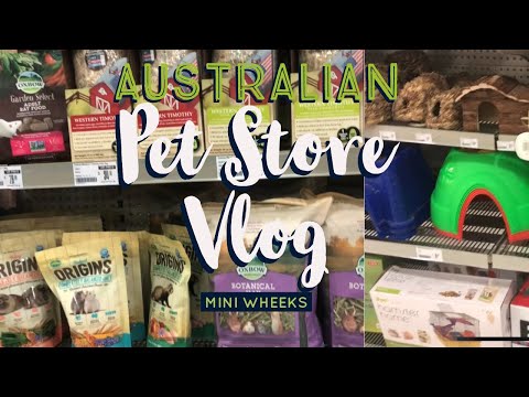 Pet Shop VLOG - Best Friends, Petbarn & Pet Stock