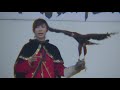 第7回宗麟公まつり　鷹匠　石橋美里トーク＆フライトショー
