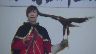 第7回宗麟公まつり　鷹匠　石橋美里トーク＆フライトショー