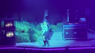 07.15.2026 - PJ @ Benchmark International Arena, Tampa, FL 