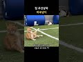 집주인과 세입자 느낌