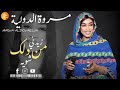 مروة الدولية زيدني من دلك شويه اغاني سودانية 2026