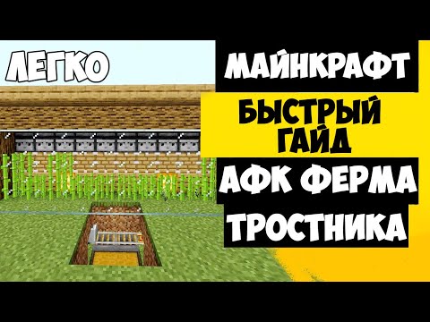 АФК ФЕРМА ТРОСТНИКА | МАЙНКРАФТ ФЕРМА ТРОСТНИКА 1.19+  - 1.11
