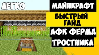 Афк Ферма Тростника | Майнкрафт Ферма Тростника 1.19+  - 1.11