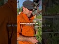 Summer is here! Discover the secret to a vibrant, colorful garden |Darrell Smith