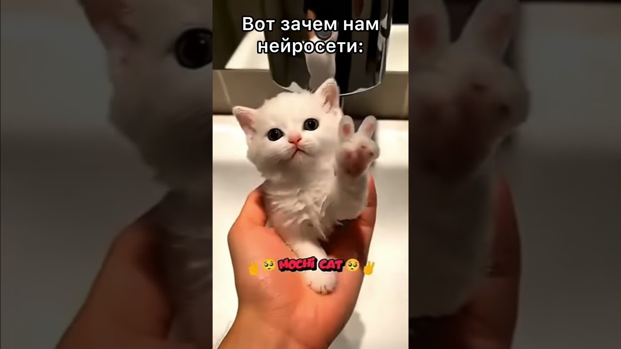 Вот зачем нужны нейронки #shorts #cutecat #cats #aicat 